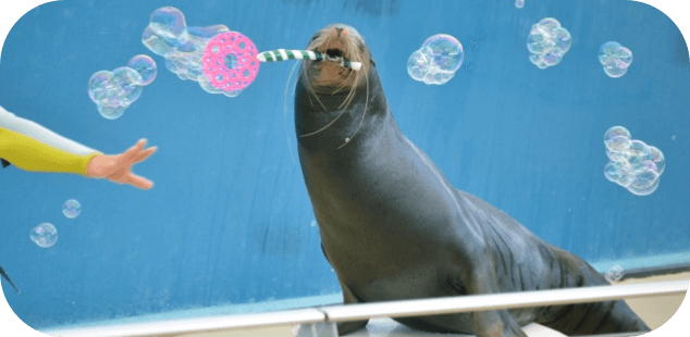 水族館イメージ