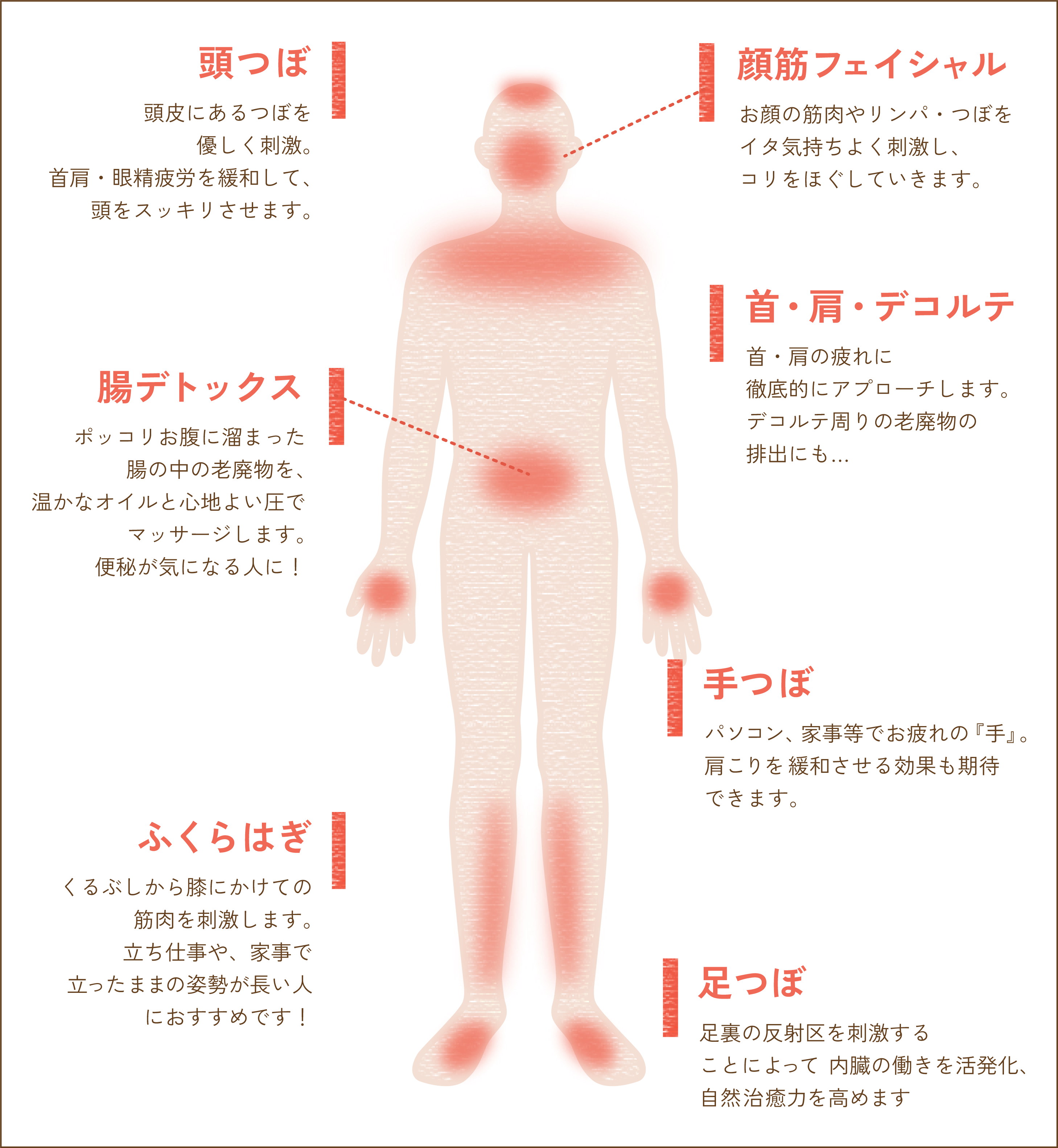 ワンポイントコース部位の説明画像